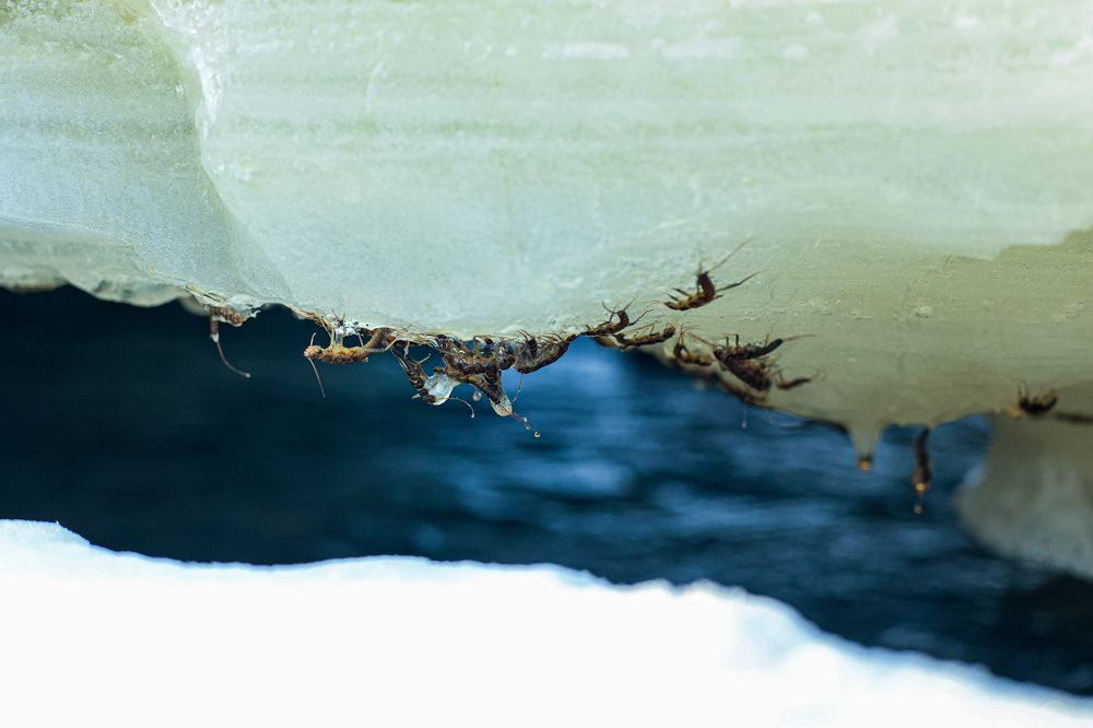 Photograph by Влада Александрова