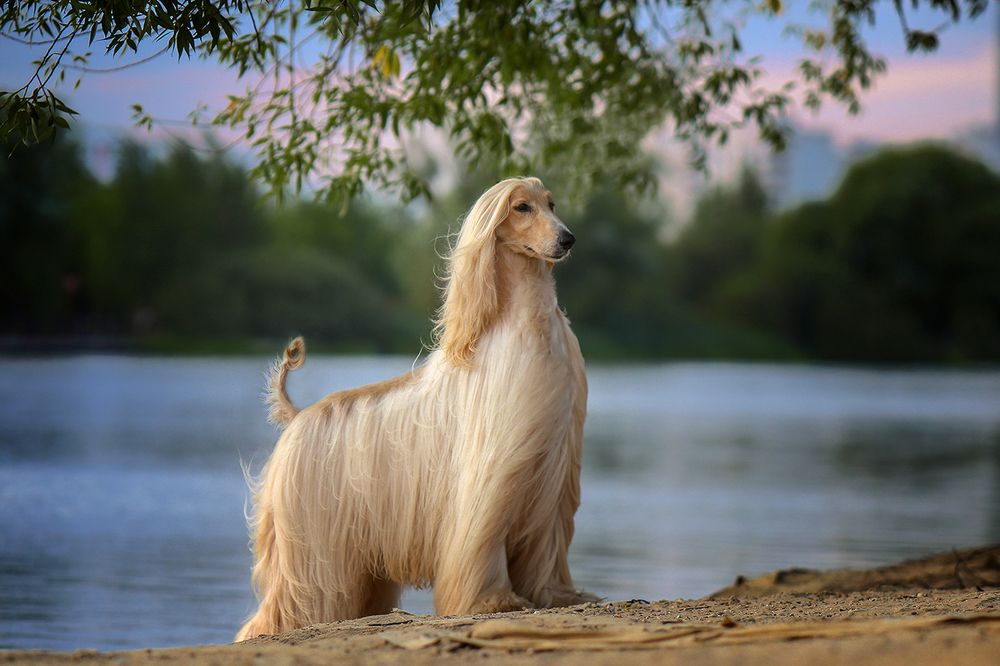 Photograph by Андрей Ершов