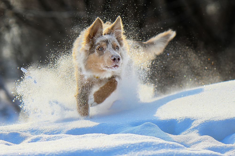 Photograph by Андрей Ершов