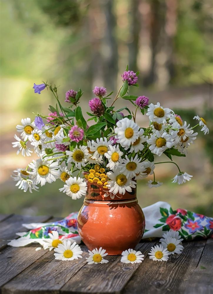 Лесные фантазии.