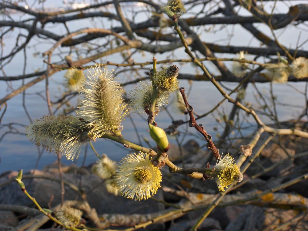 Photograph by Маша Худякова