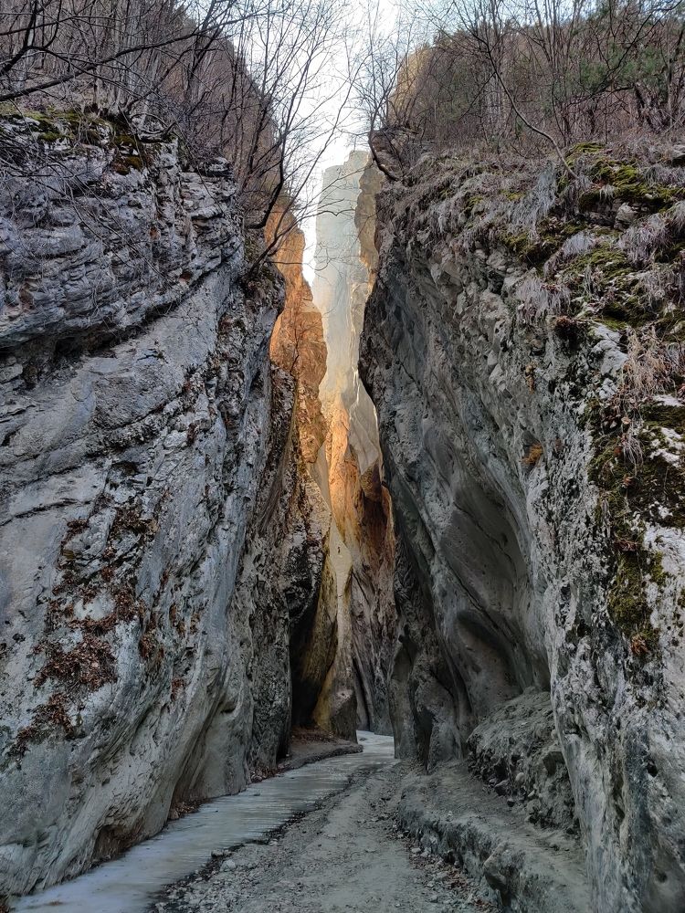 Photograph by Дмитрий Синицын