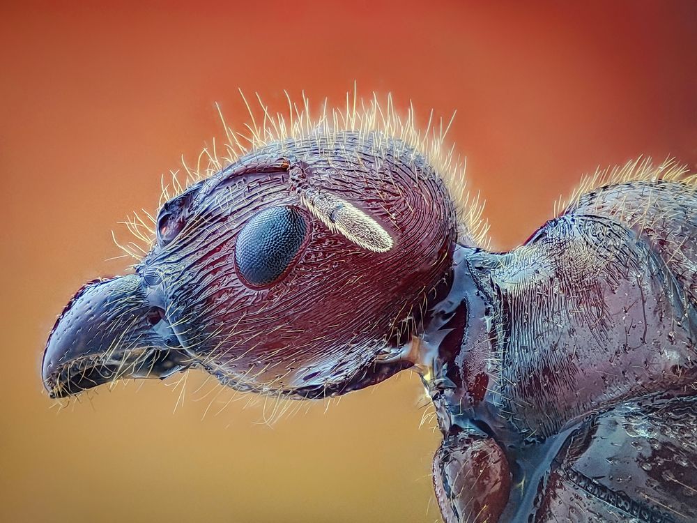 Photograph by Trung Nguyễn