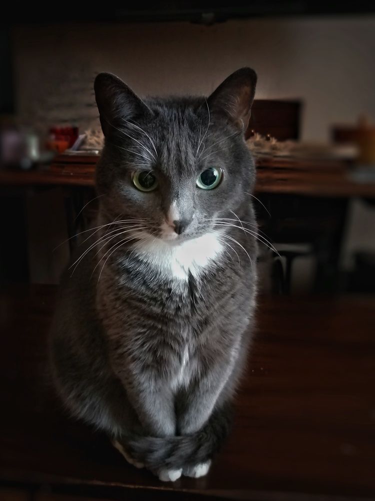 Photograph by Ольга Мокрова