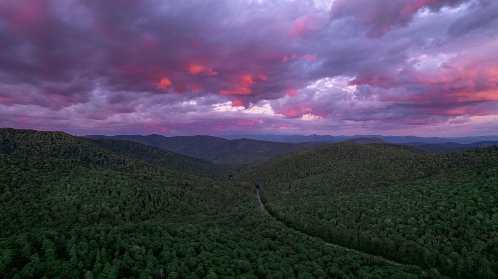 Photograph by IZitsART