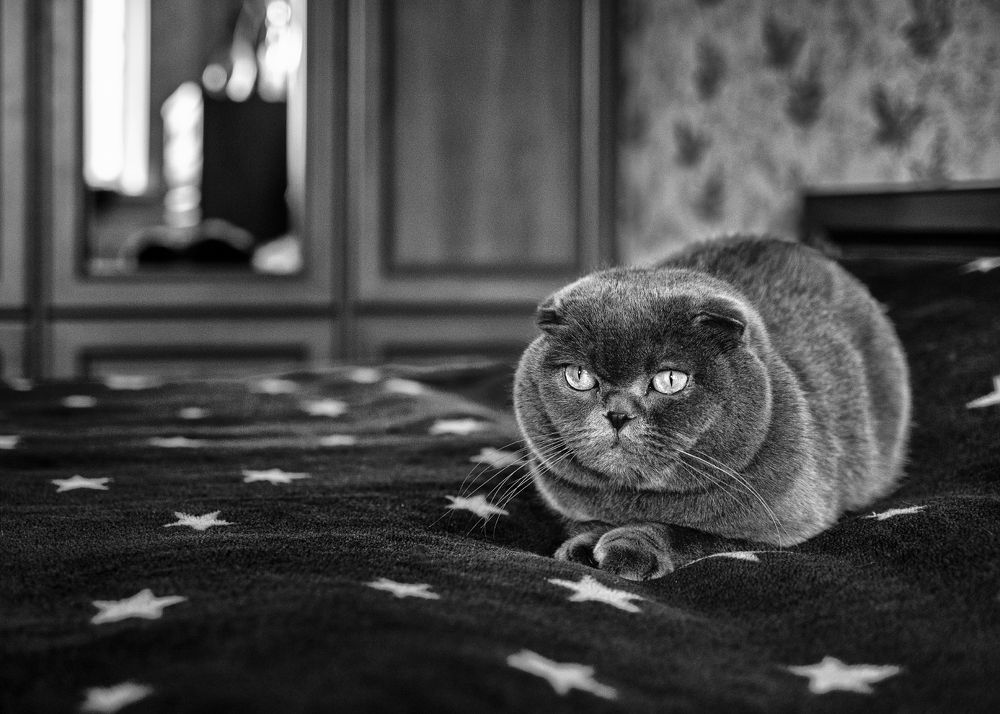 Photograph by Диденко Юрий