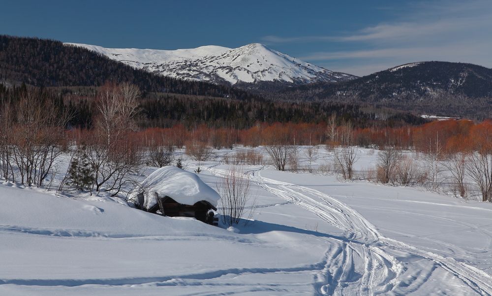 Photograph by Александр Полюдов