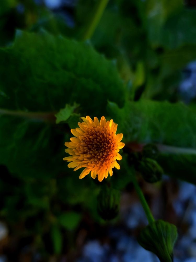 Photograph by Диана Аракелова