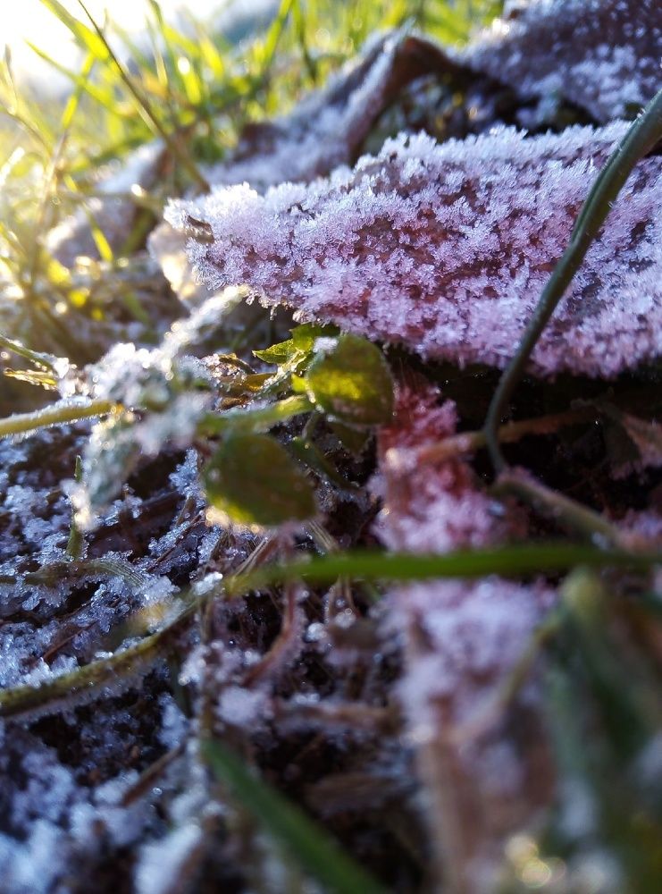 Фотография автора Полина Вязникова