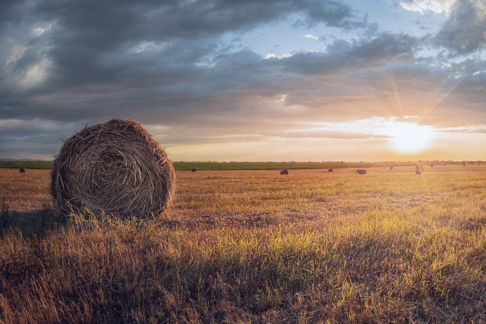 Фотография автора Константин Яковлев