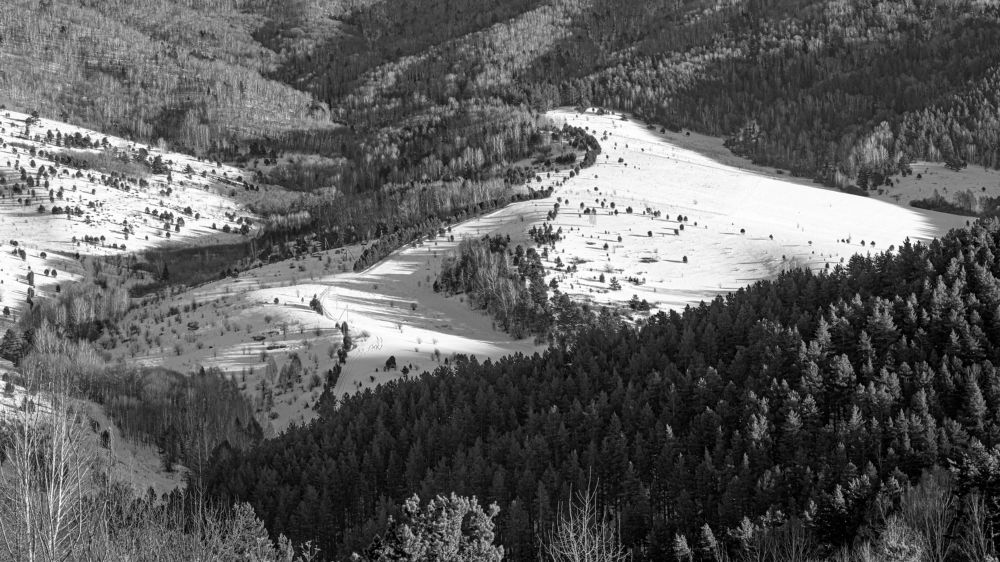 Photograph by Ольга Тюрина