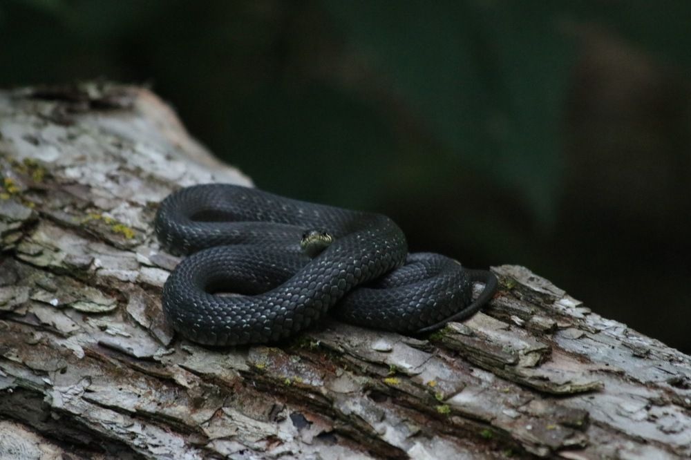 Photograph by Ирина Нурбаева