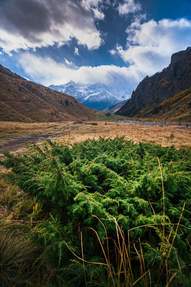 Photograph by Алексей Котлов