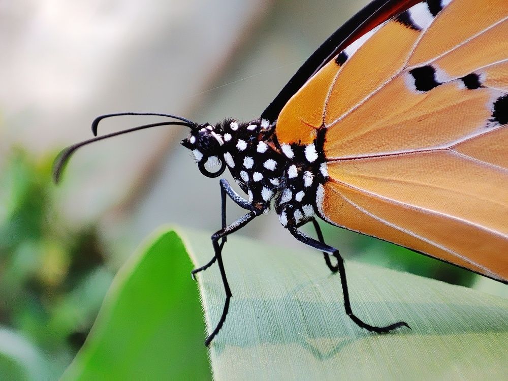 Photograph by Rup Verma