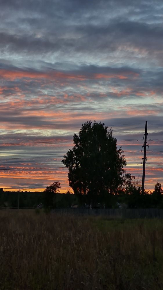 Photograph by Наталья Миндовская