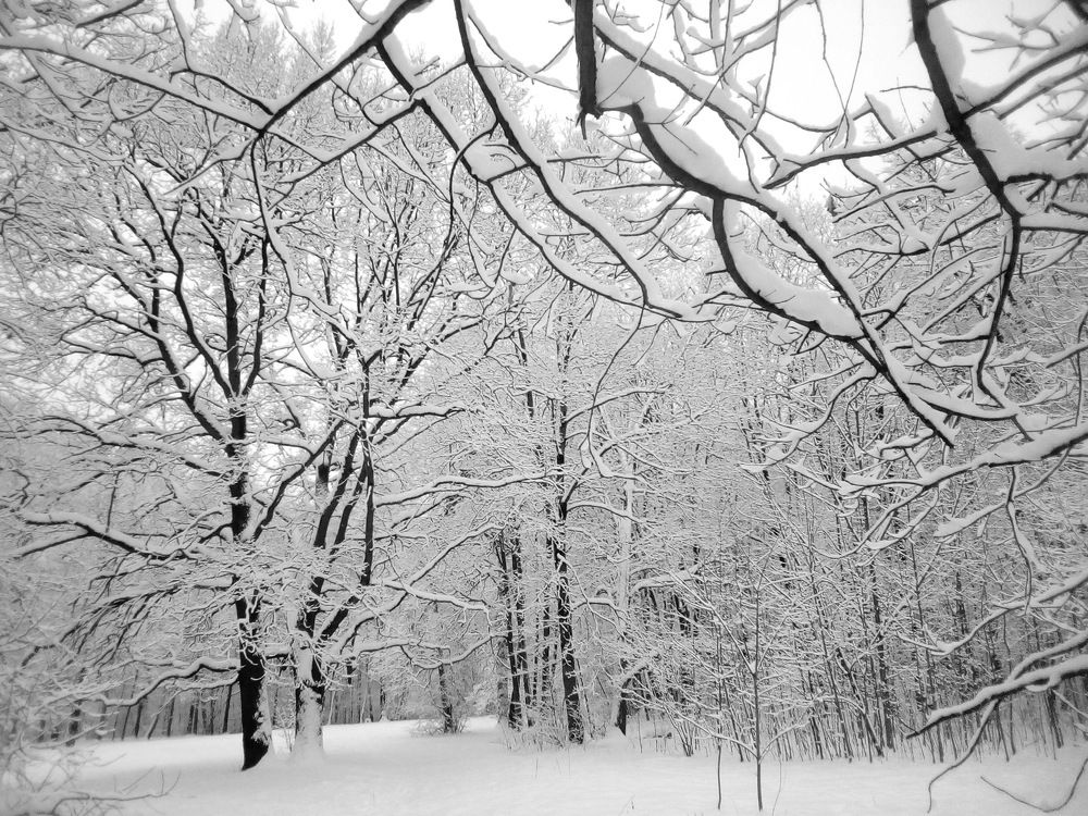 Photograph by Вадим Беляев