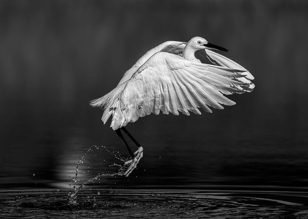 Photograph by Karen Bilgrai Cohen