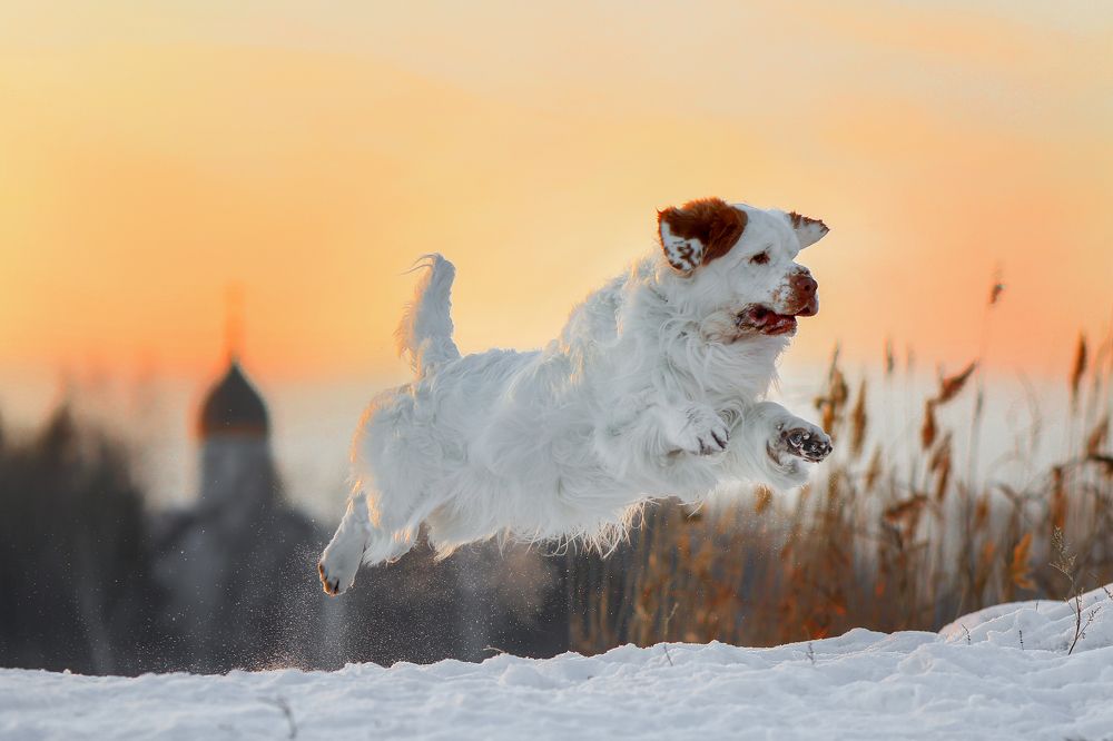 Photograph by Андрей Ершов