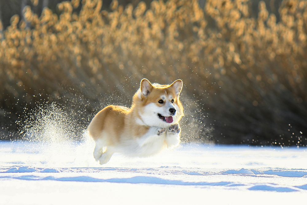 Photograph by Андрей Ершов