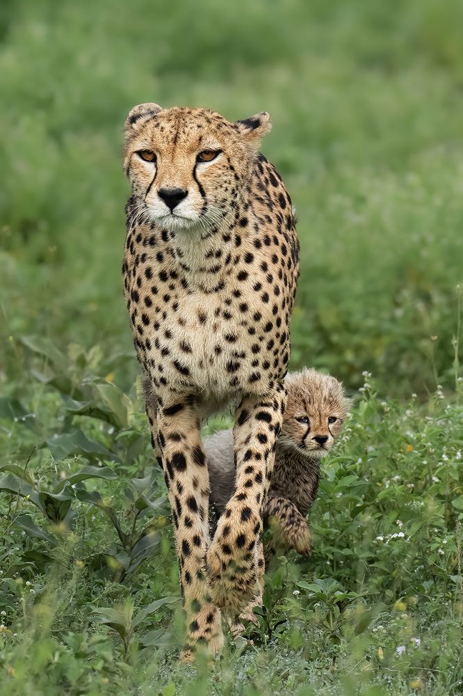 Photograph by Karen Bilgrai Cohen