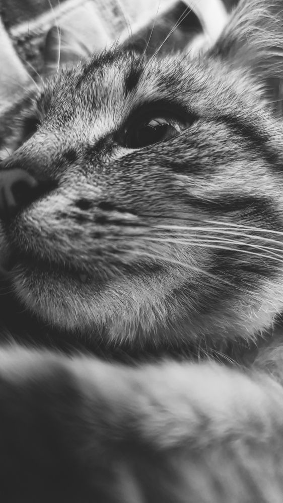 Photograph by Drutel Witold