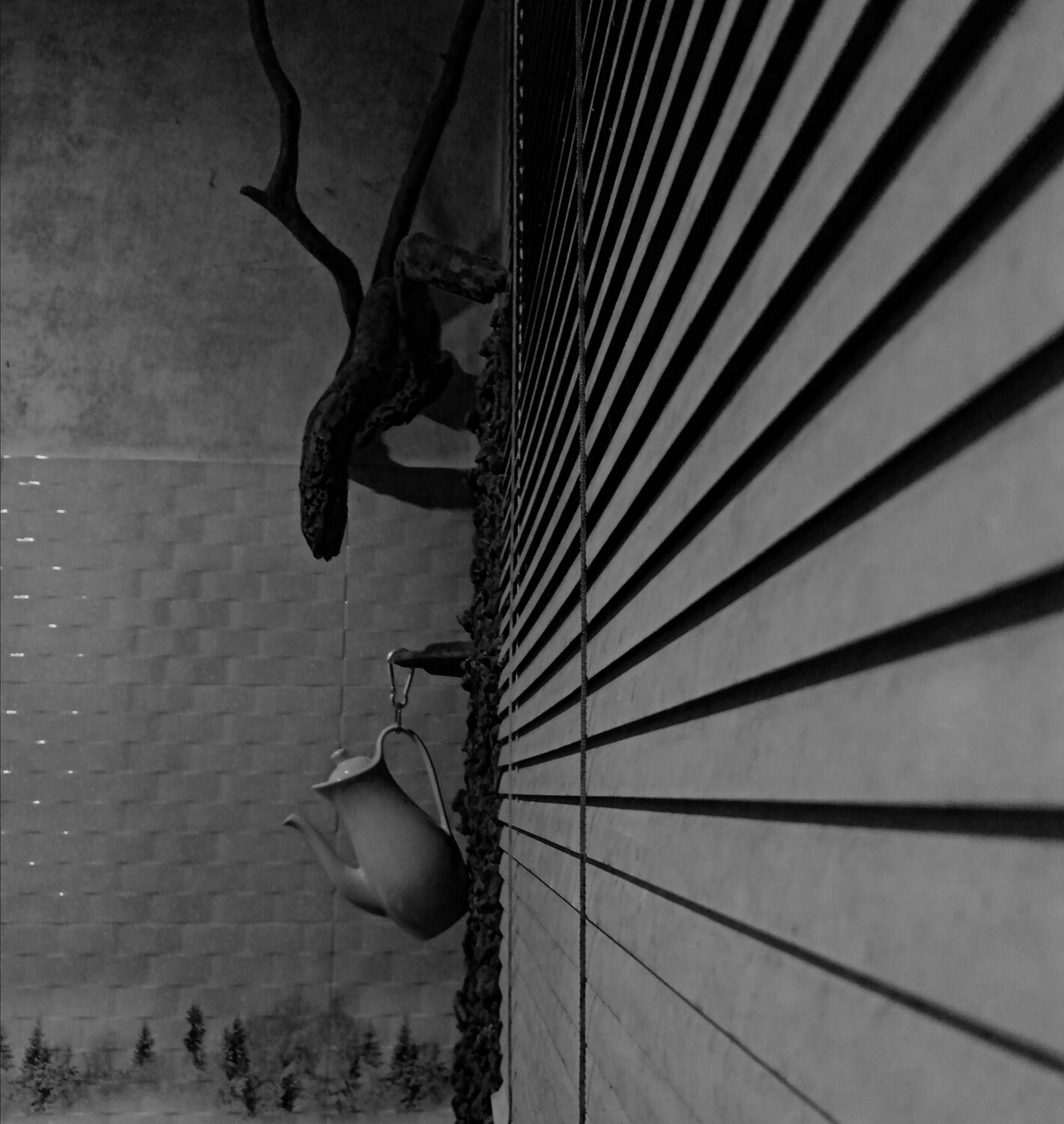 Photo #8931392