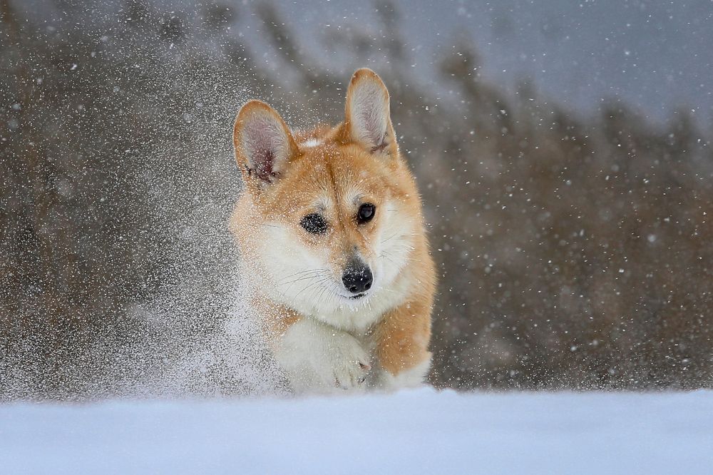 Photograph by Андрей Ершов