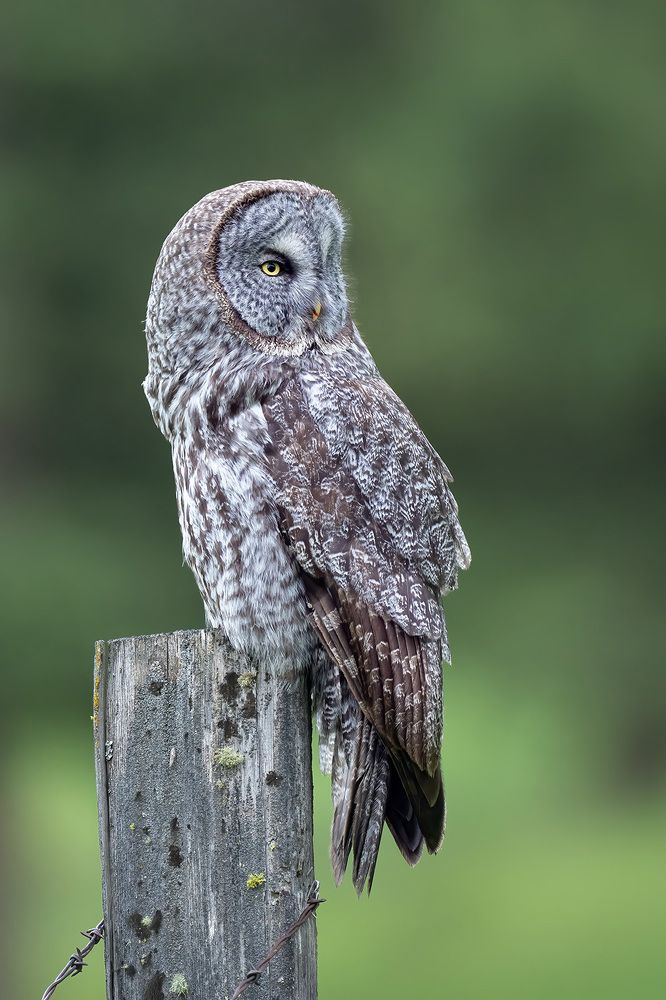 Photograph by Karen Bilgrai Cohen