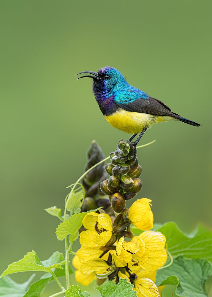 Photograph by Karen Bilgrai Cohen