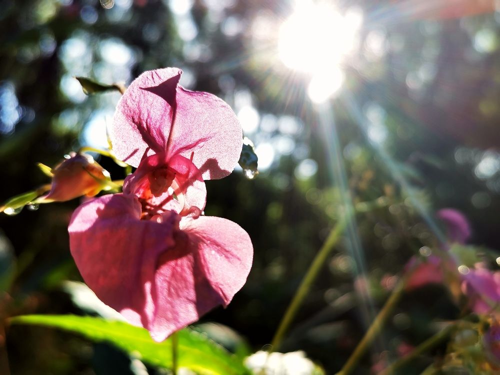 Photograph by Юлия Рубчихина