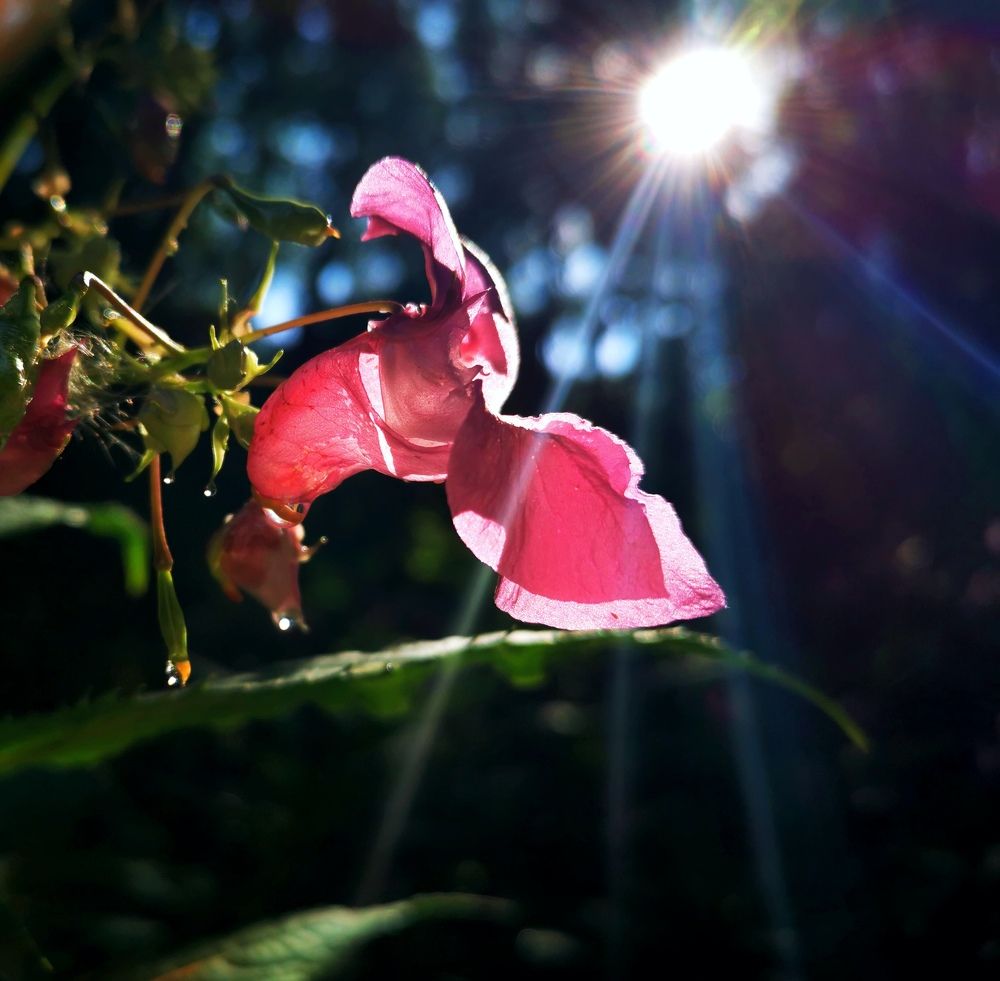 Photograph by Юлия Рубчихина