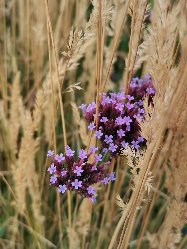 Photograph by Юлия Рубчихина