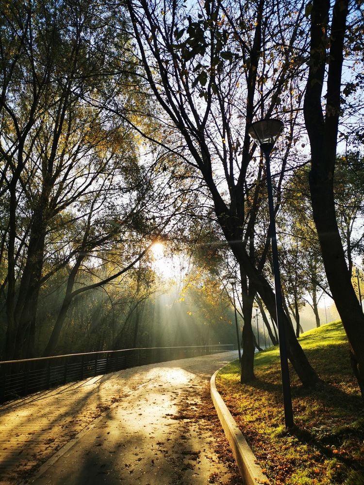 Photograph by Юлия Рубчихина