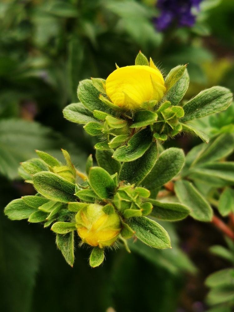 Photograph by Юлия Рубчихина