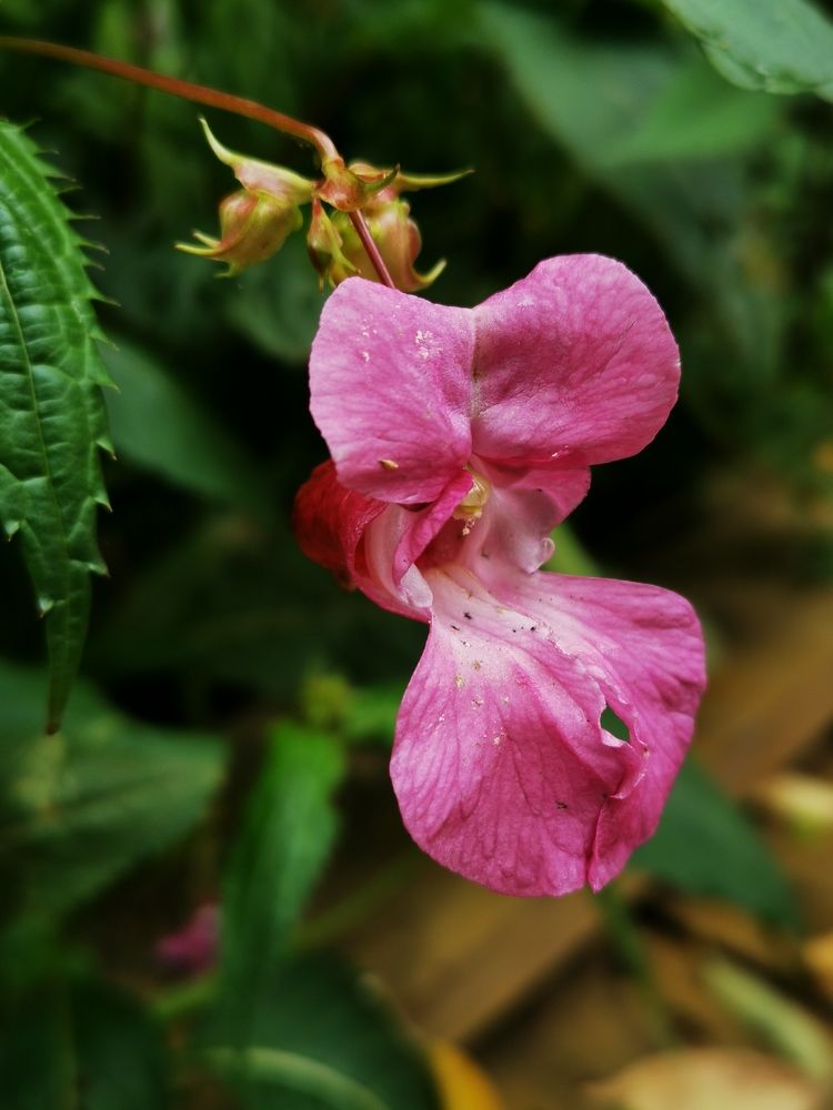 Photograph by Юлия Рубчихина