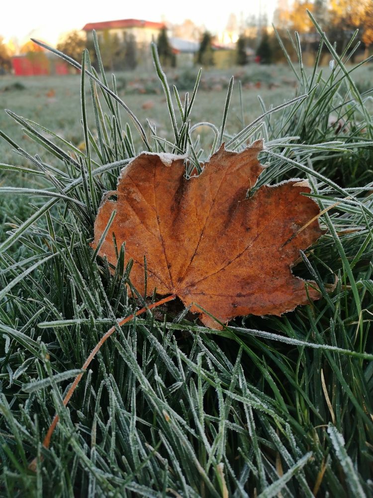 Photograph by Юлия Рубчихина