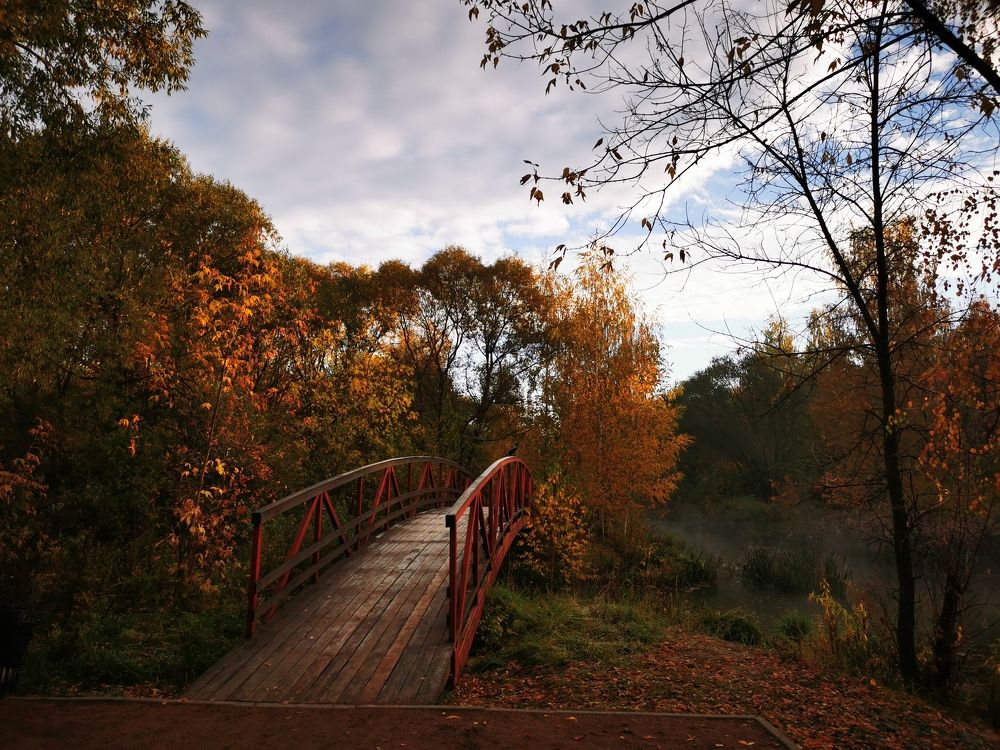 Photograph by Юлия Рубчихина