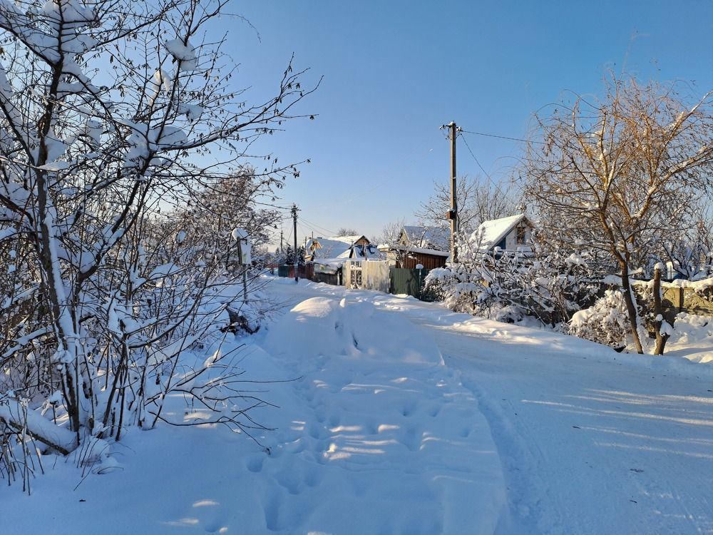 Фотография автора Светлана Светлана