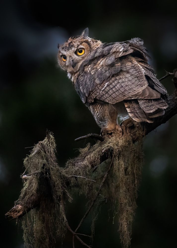 Photograph by Karen Bilgrai Cohen