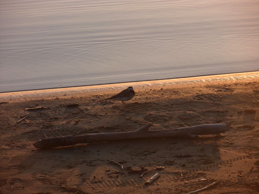 Photograph by Маша Худякова