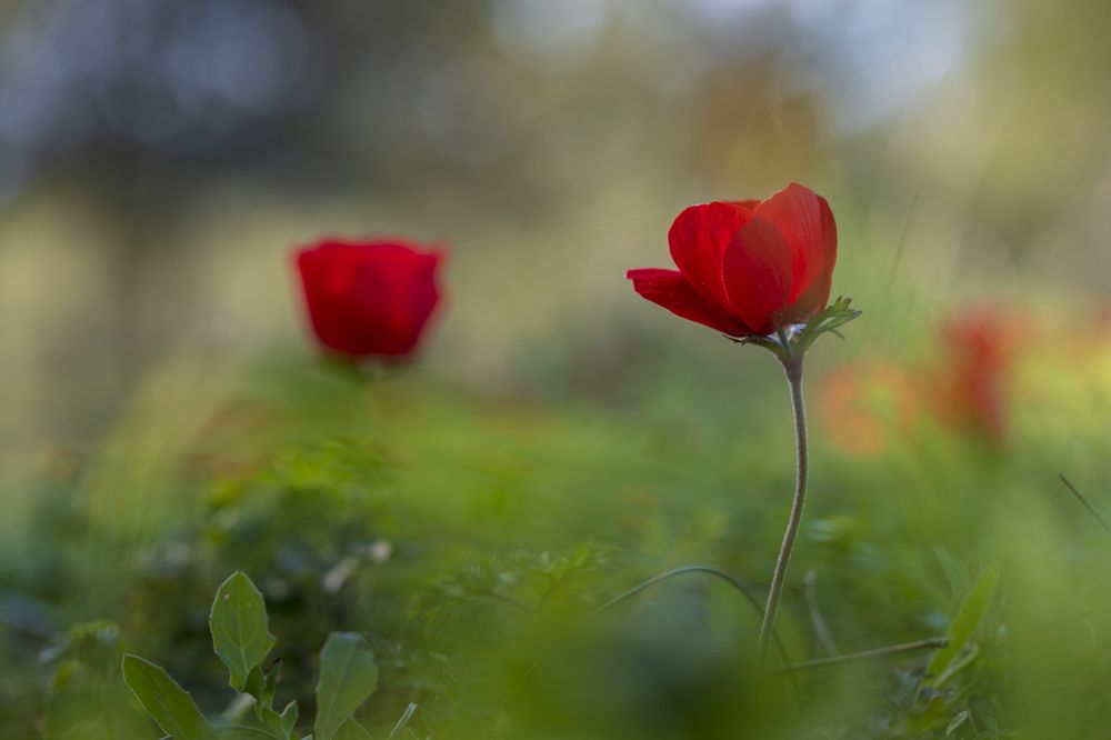 Фотография автора Nikolay Tatarchuk