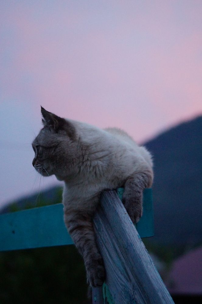 Photograph by Дарья Ринас