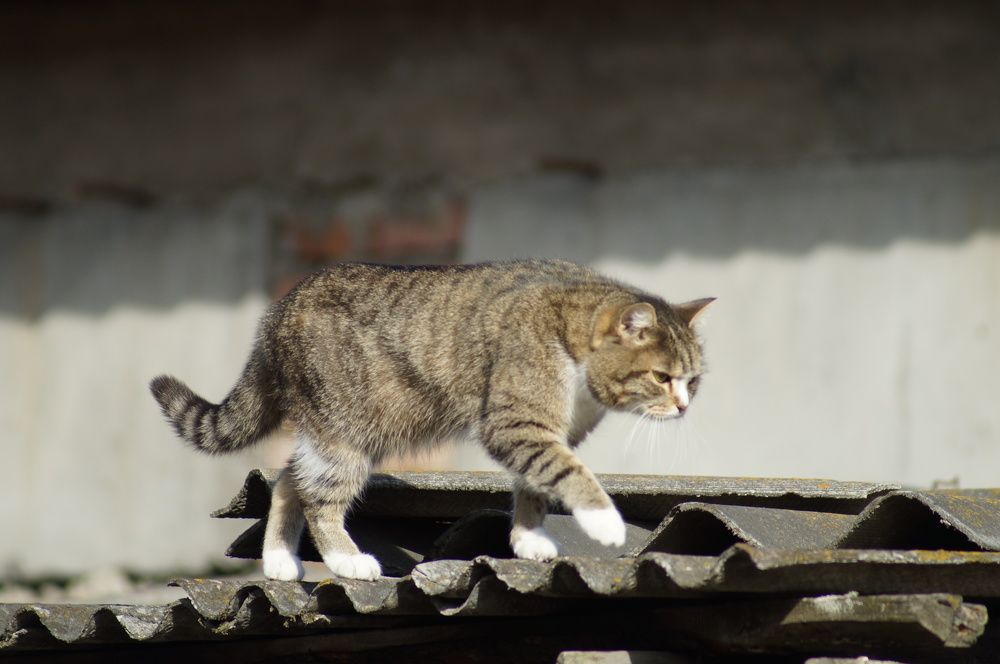 Photograph by Дарья Ринас