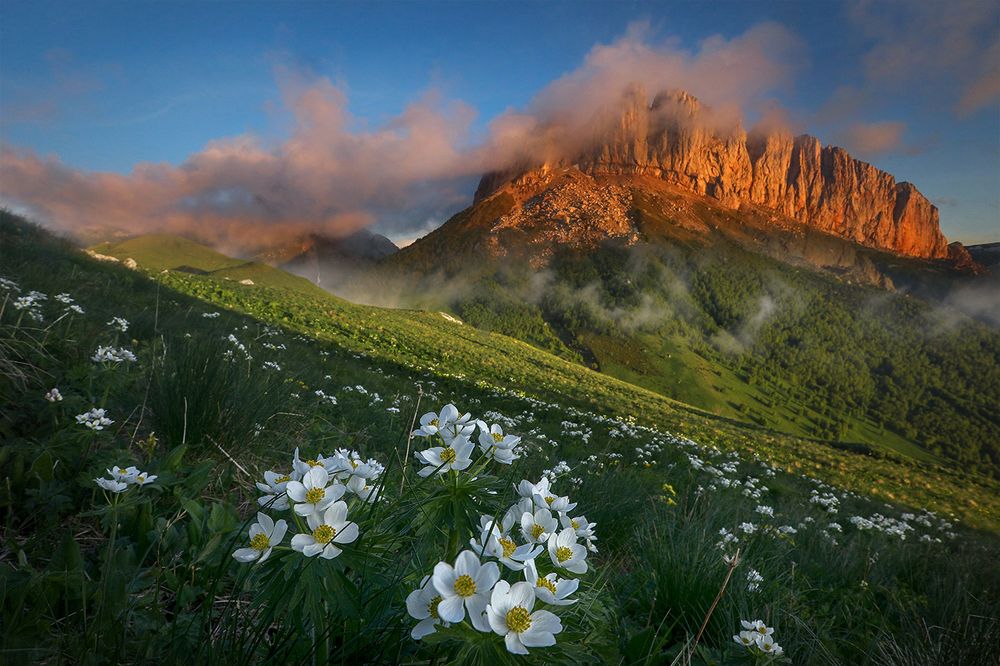 Photograph by Андрей Ершов