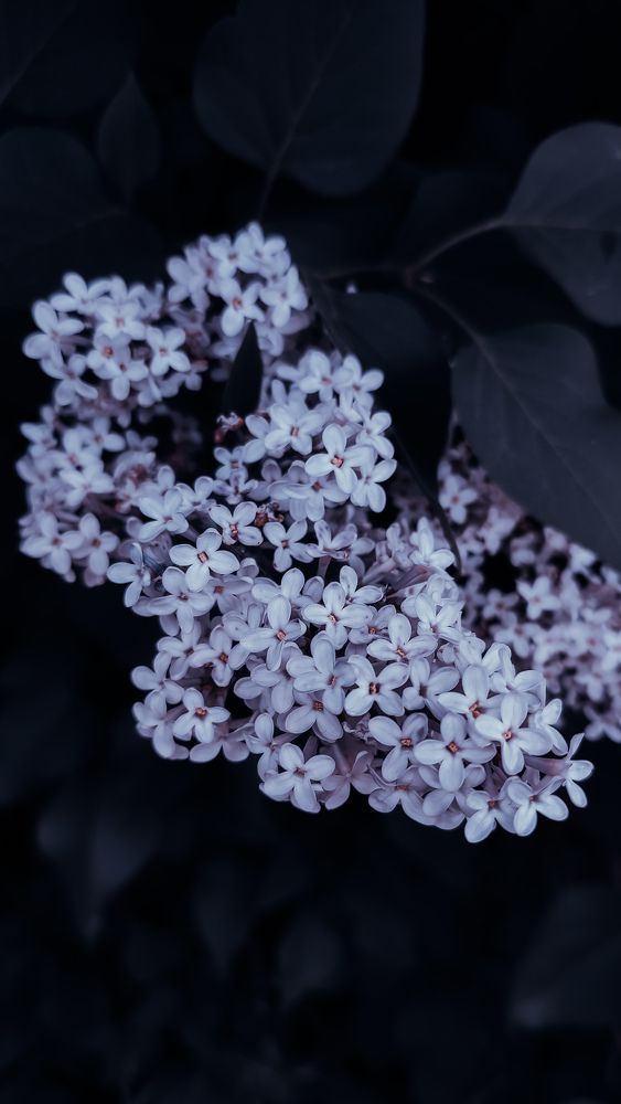 Photograph by Ирина Львова