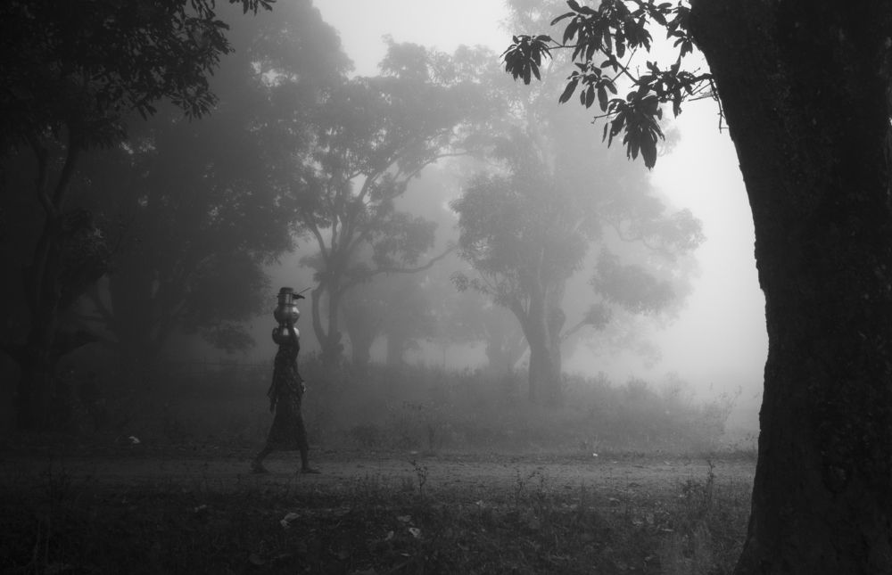 Photograph by Ajay Neelam