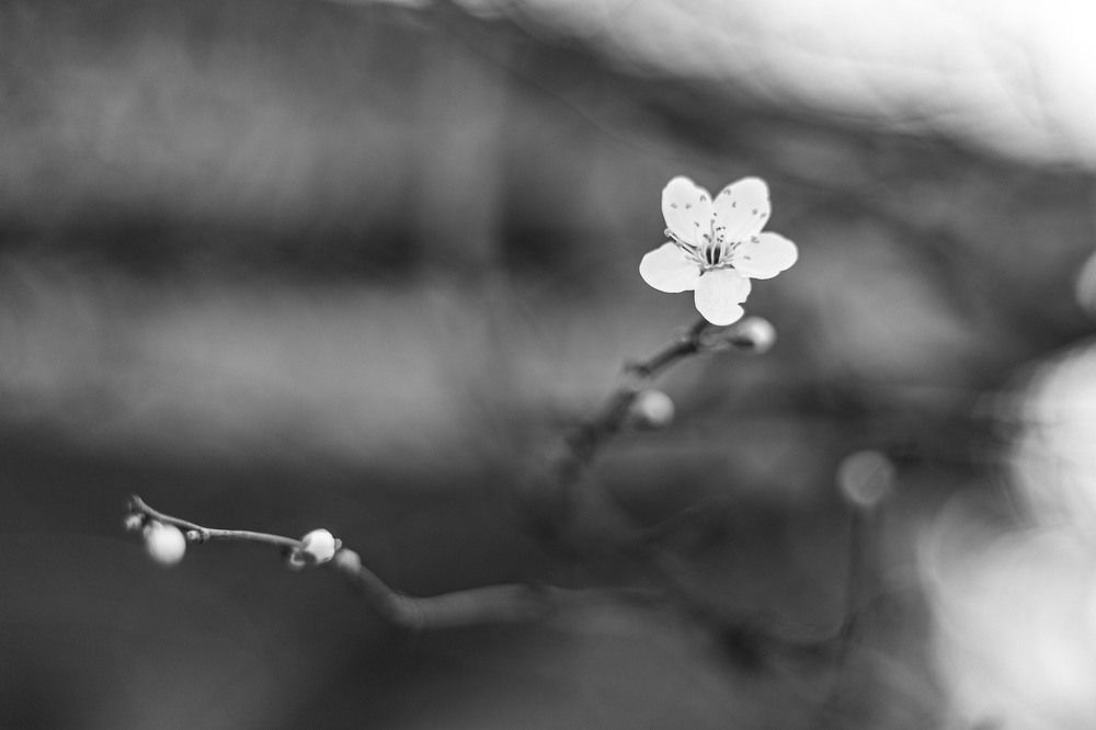 Photograph by Ди Си