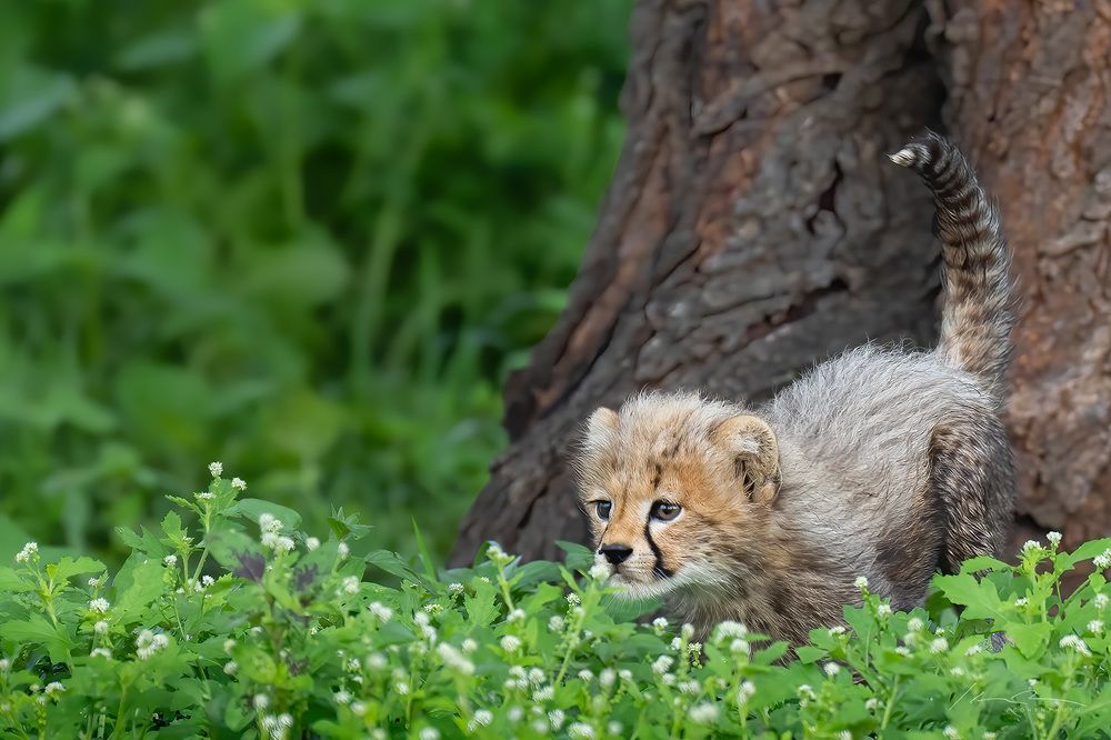 Photograph by Karen Bilgrai Cohen