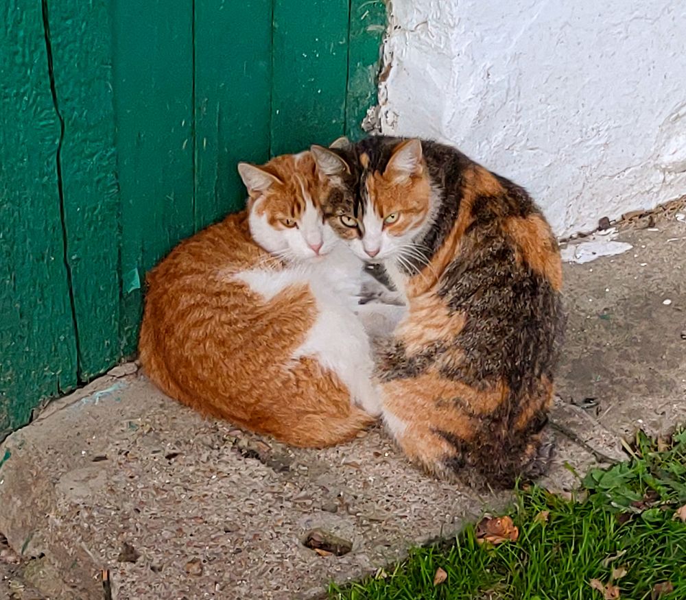 Photograph by Елена Алексеева