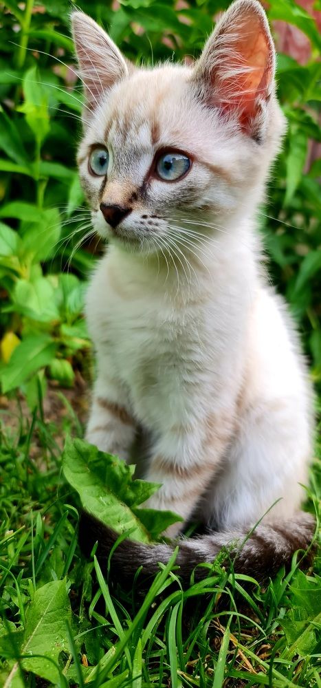 Photograph by Drutel Witold